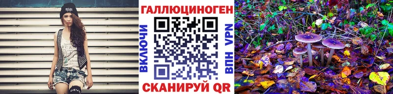 Псилоцибиновые грибы Psilocybine cubensis  где купить наркоту  Ужур 